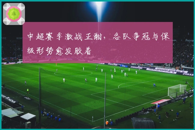 中超赛季激战正酣，各队争冠与保级形势愈发胶着